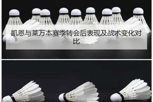 凯恩与莱万本赛季转会后表现及战术变化对比